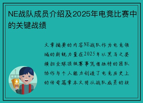 NE战队成员介绍及2025年电竞比赛中的关键战绩